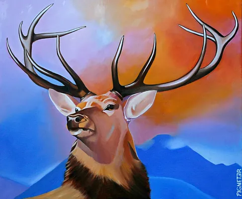 Animals Bild 1